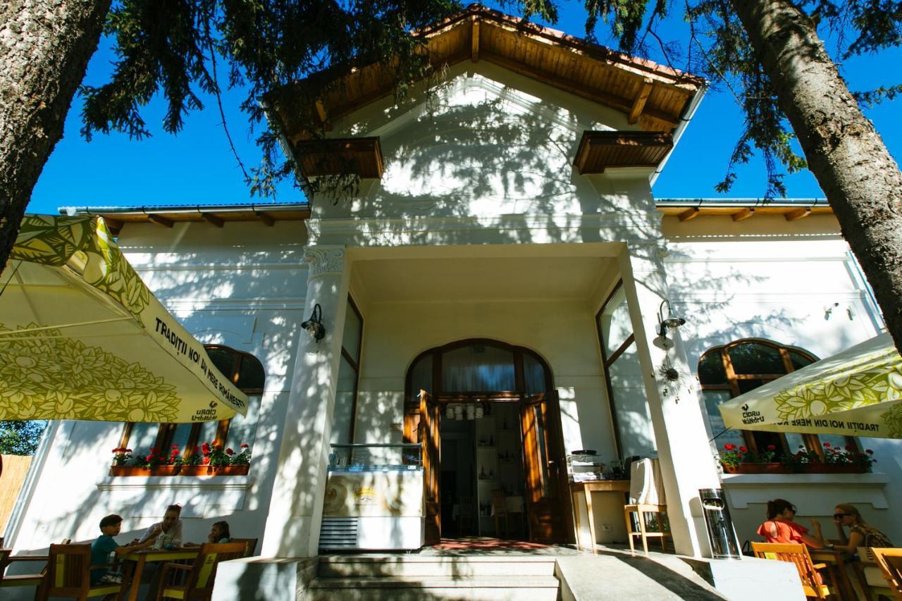 Hotel Casa Del Sole Alba Iulia Esterno foto